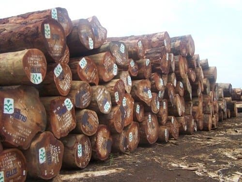 African Hard Wood Timber Logs _ Lumber For Sale